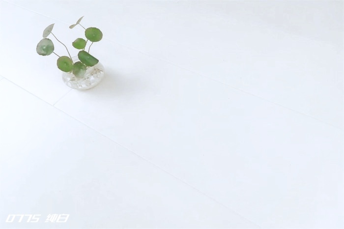 653d9b2c13b7846ed51e3f519f54e9a3.jpg