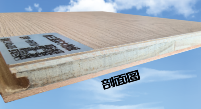 e92de50758eb561a79b502876a2a3de4.png